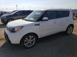 KIA Soul Vehiculos salvage en venta: 2015 KIA Soul +