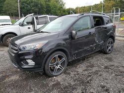 Salvage cars for sale at Baltimore, MD auction: 2019 Ford Escape SEL