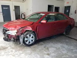 Toyota Vehiculos salvage en venta: 2008 Toyota Camry LE