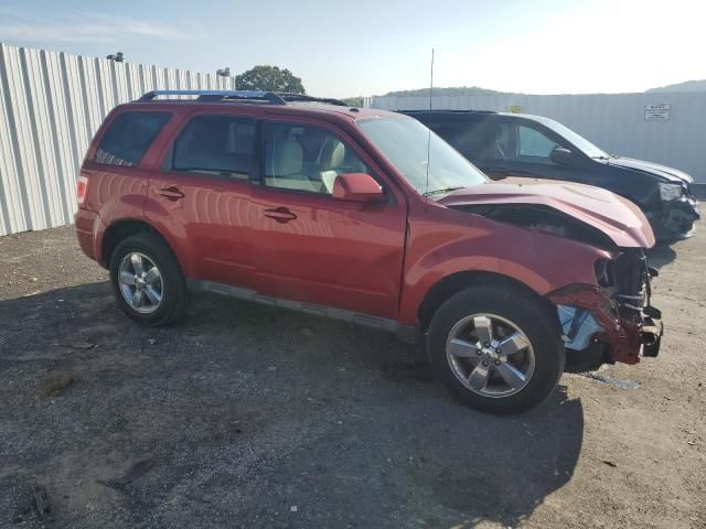 2012 Ford Escape Limited