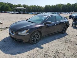 Nissan salvage cars for sale: 2014 Nissan Maxima S