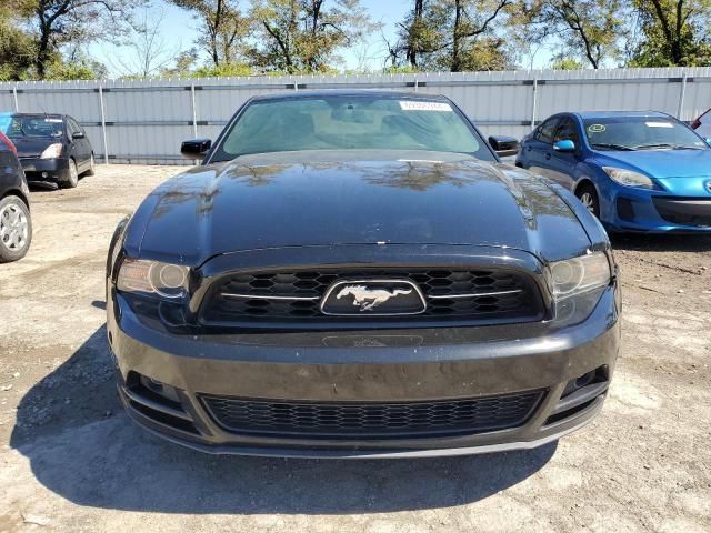 2013 Ford Mustang