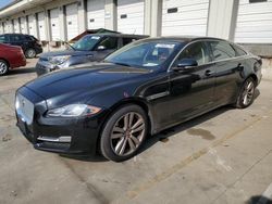 Salvage cars for sale at Louisville, KY auction: 2016 Jaguar XJL Portfolio