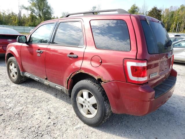 2012 Ford Escape XLT