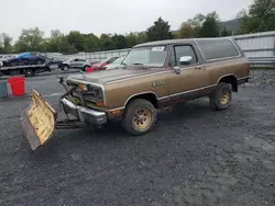 Salvage cars for sale at Grantville, PA auction: 1989 Dodge Ramcharger AW-100