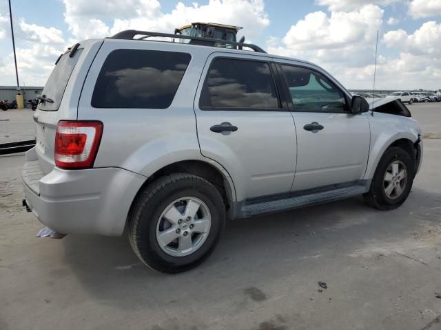 2009 Ford Escape XLT