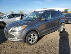 2014 Ford Escape SE en venta en Rocky View County, AB