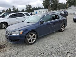 Salvage cars for sale at Graham, WA auction: 2013 Volkswagen Passat SE