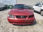 2001 Ford Mustang