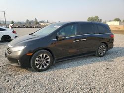 Salvage cars for sale at Mentone, CA auction: 2022 Honda Odyssey EXL