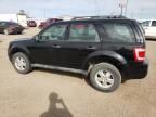 2010 Ford Escape XLS