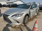 2021 Lexus ES 250 Base