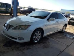 Salvage cars for sale at Phoenix, AZ auction: 2010 Lexus ES 350