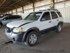 2006 Ford Escape XLT