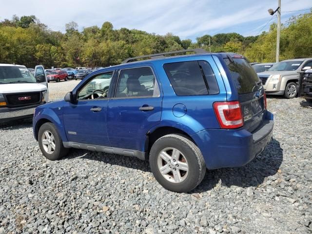 2008 Ford Escape HEV