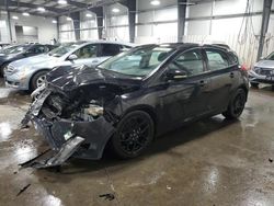 Salvage cars for sale at Ham Lake, MN auction: 2016 Ford Focus SE