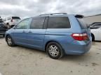 2007 Honda Odyssey EXL