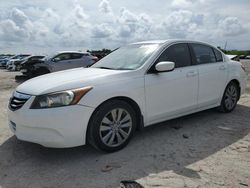 Salvage cars for sale at West Palm Beach, FL auction: 2012 Honda Accord EXL