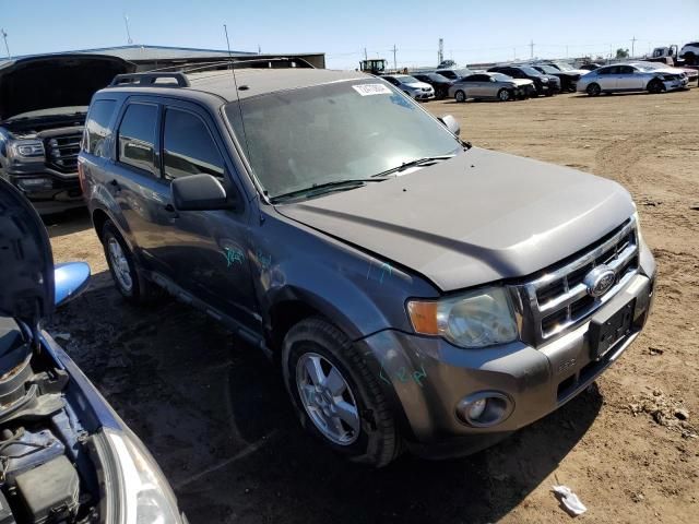 2010 Ford Escape XLT