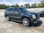 2011 Cadillac Escalade Luxury