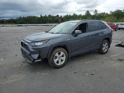 2019 Toyota Rav4 LE en venta en Windham, ME