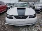 2003 Ford Mustang