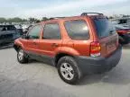 2006 Ford Escape XLT