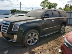 Cadillac salvage cars for sale: 2016 Cadillac Escalade Luxury