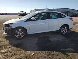 Ford Vehiculos salvage en venta: 2013 Ford Focus SE