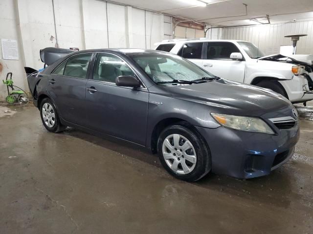 2010 Toyota Camry Hybrid