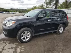 Lexus salvage cars for sale: 2010 Lexus GX 460