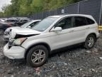 2010 Honda CR-V EXL