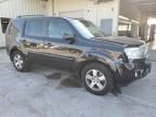 2010 Honda Pilot EXL