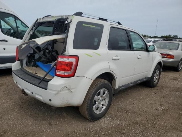 2009 Ford Escape Limited