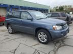 2006 Toyota Highlander Hybrid