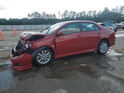 2010 Toyota Corolla Base en venta en Harleyville, SC