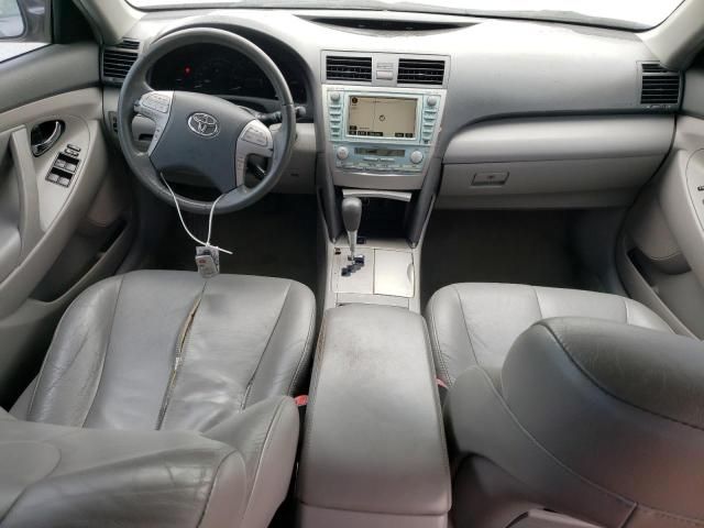 2009 Toyota Camry Hybrid