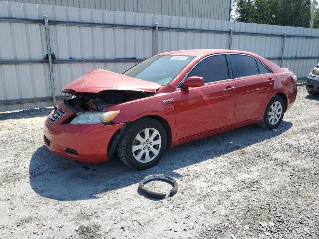 2009 Toyota Camry Hybrid