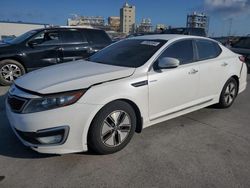 Salvage vehicles for parts for sale at auction: 2013 KIA Optima Hybrid