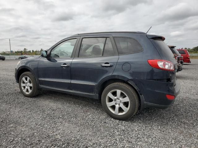 2010 Hyundai Santa FE SE