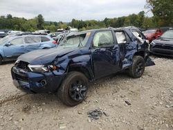 Salvage cars for sale at Candia, NH auction: 2024 Toyota 4runner SR5/SR5 Premium