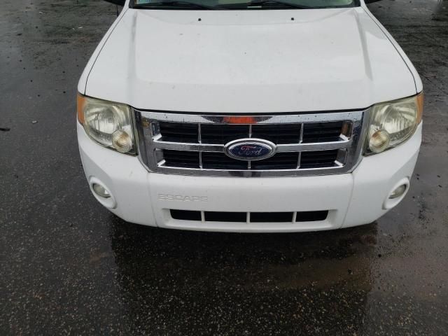 2008 Ford Escape XLT