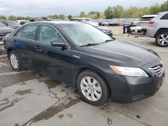 2009 Toyota Camry Hybrid