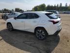 2024 Lexus UX 250H Premium