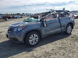 Salvage cars for sale at Eugene, OR auction: 2014 Honda CR-V EXL