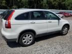 2007 Honda CR-V EXL