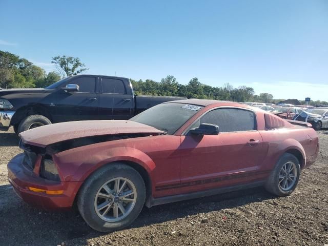 2005 Ford Mustang