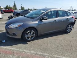 Salvage cars for sale at Rancho Cucamonga, CA auction: 2013 Ford Focus SE