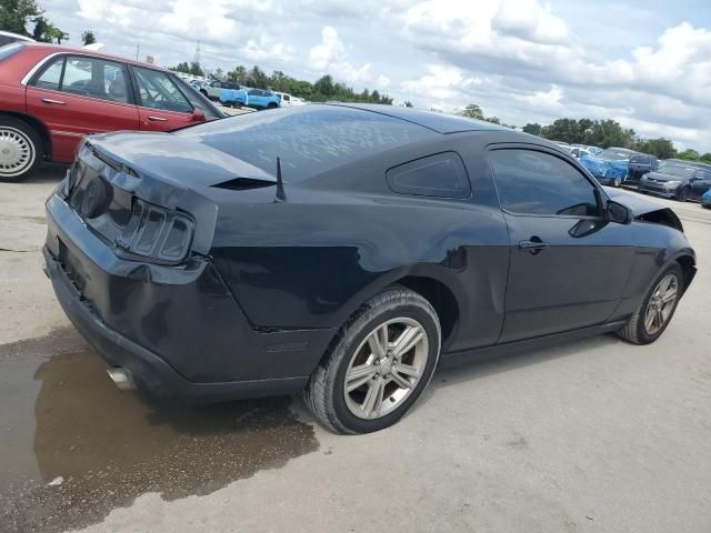 2010 Ford Mustang