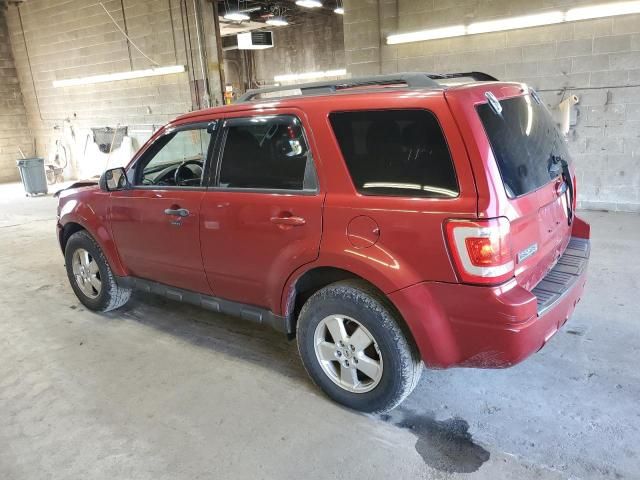 2012 Ford Escape XLT